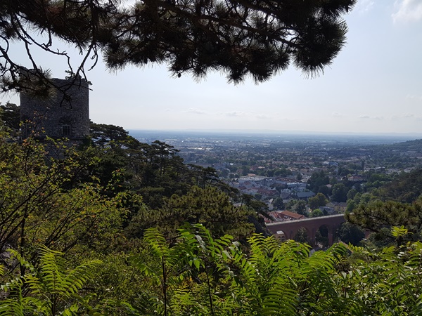 View into Klausen gorge (Mödling, Lower Austria)