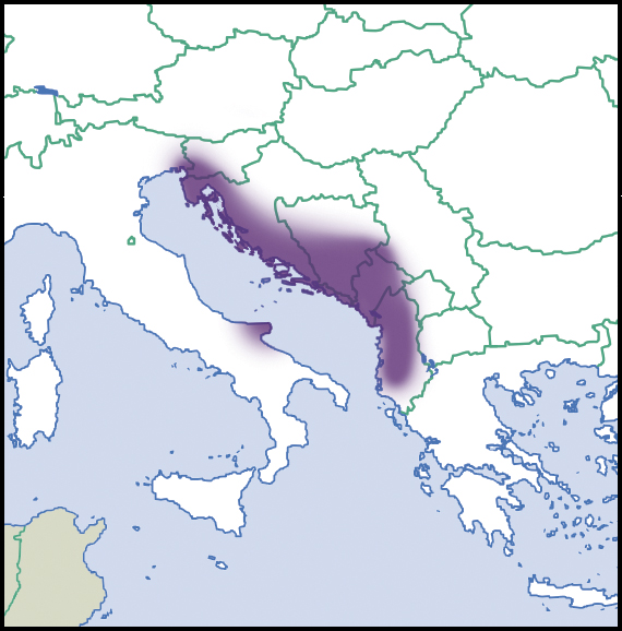 Poiretia cornea: Distribution